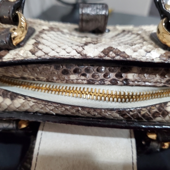 Genuine Python Dolce and Gabbana vitello corrida beige mini python clutch - Picture 16 of 16